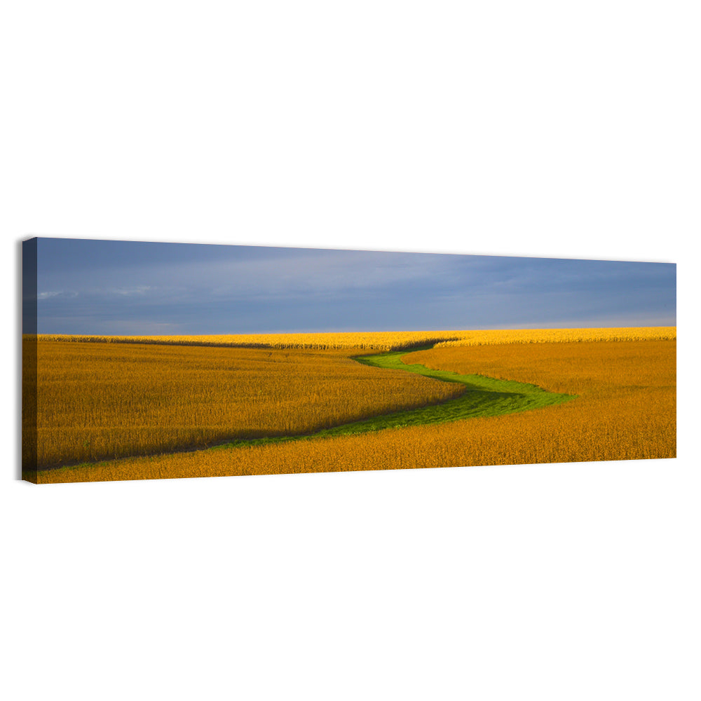 Golden Hour Soybean Field Wall Art, canvas print, panoramic