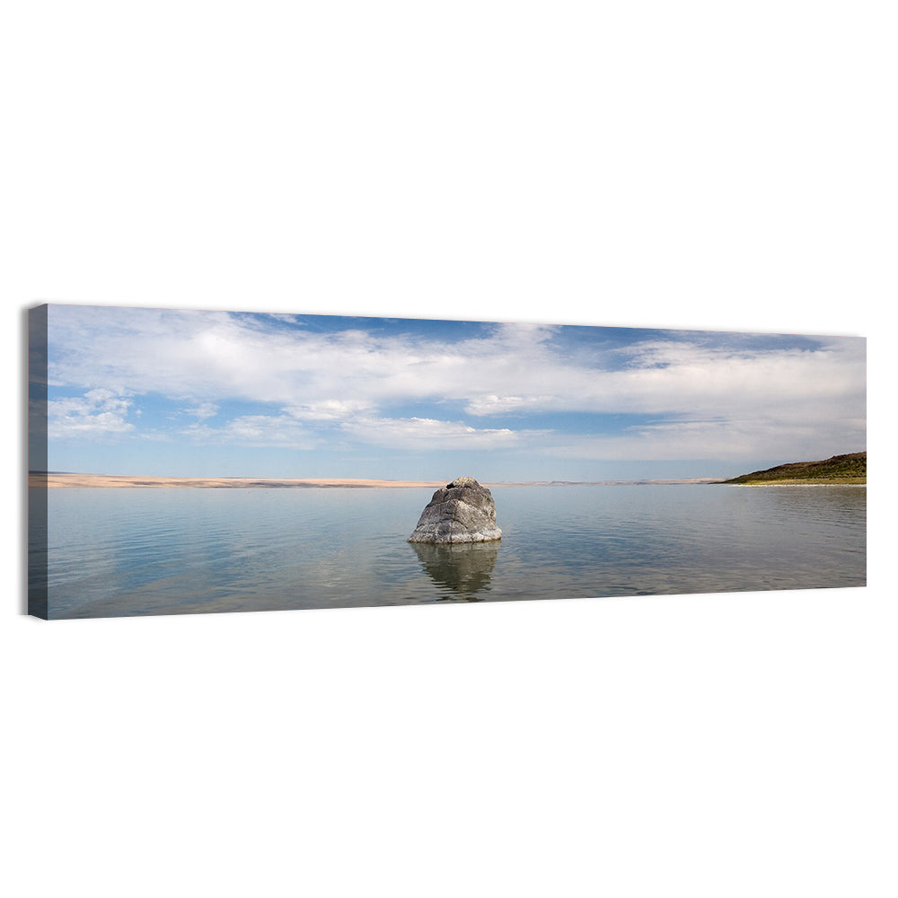 Abert Lake Wall Art