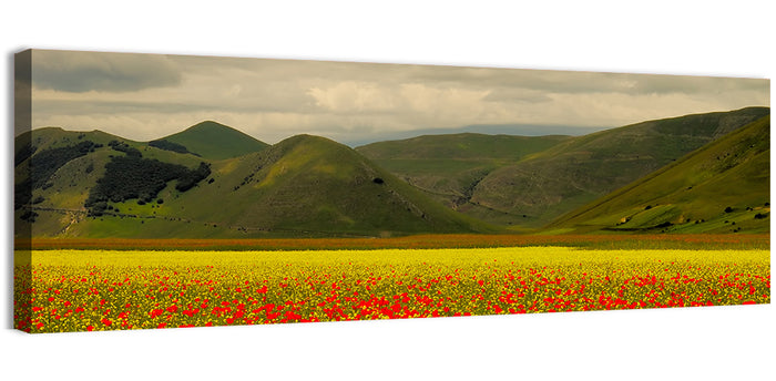 Castelluccio Wildflower Meadow Wall Art as a canvas print