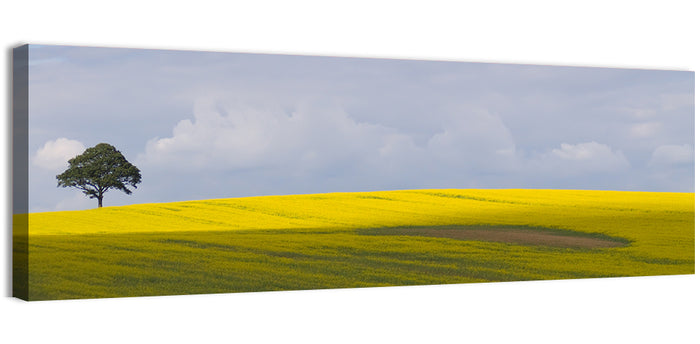 Solitary Tree Over Rapeseed Field Wall Art as a canvas print