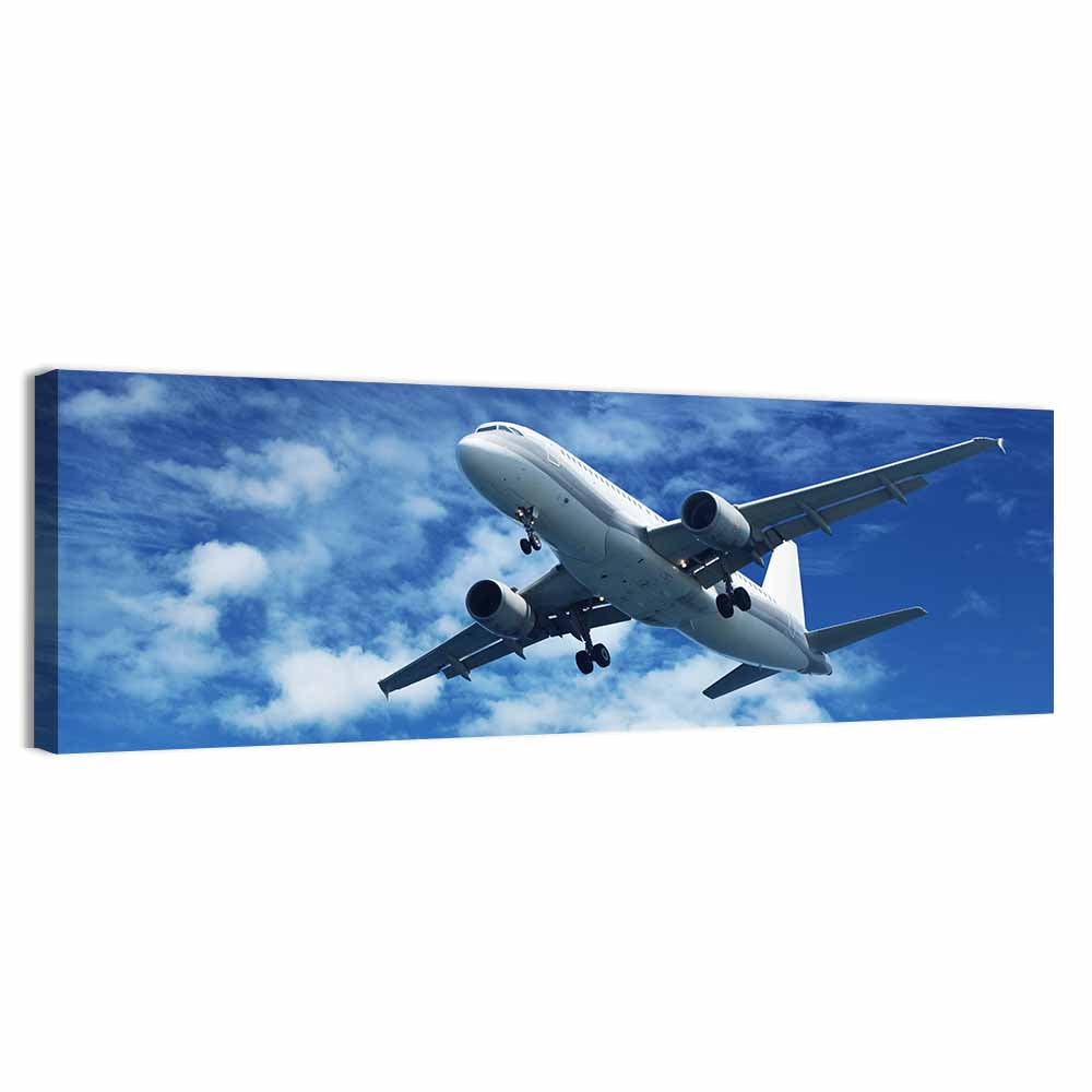 Passenger Airplane Wall Art