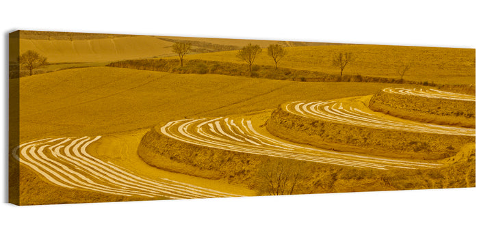 Loess Plateau Terraced Farmland Wall Art as a canvas print