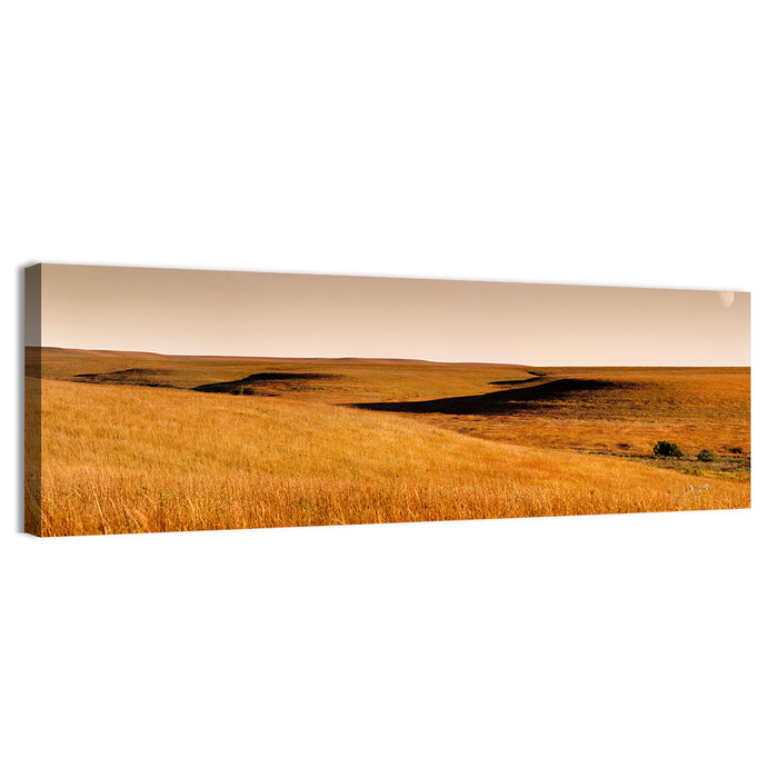 Kansas Tallgrass Prairie Wall Art as a canvas print