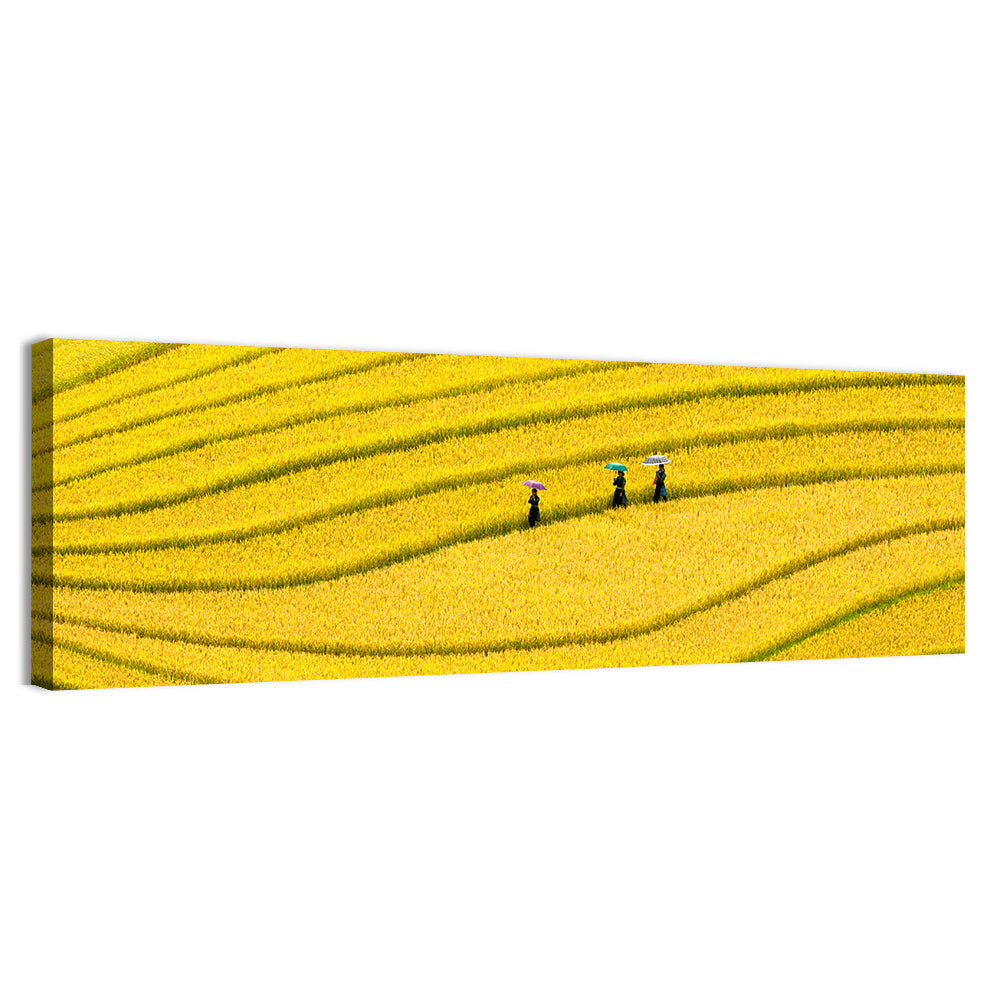 Golden Rice Terraces with Umbrellas Wall Art, canvas print, panoramic