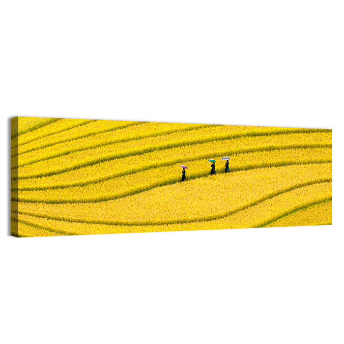 Golden Rice Terraces with Umbrellas Wall Art as a canvas print