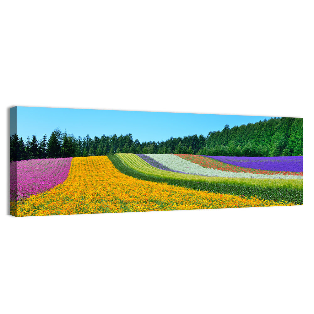 Tomita Flower Fields, Nakafurano Wall Art, canvas print, panoramic
