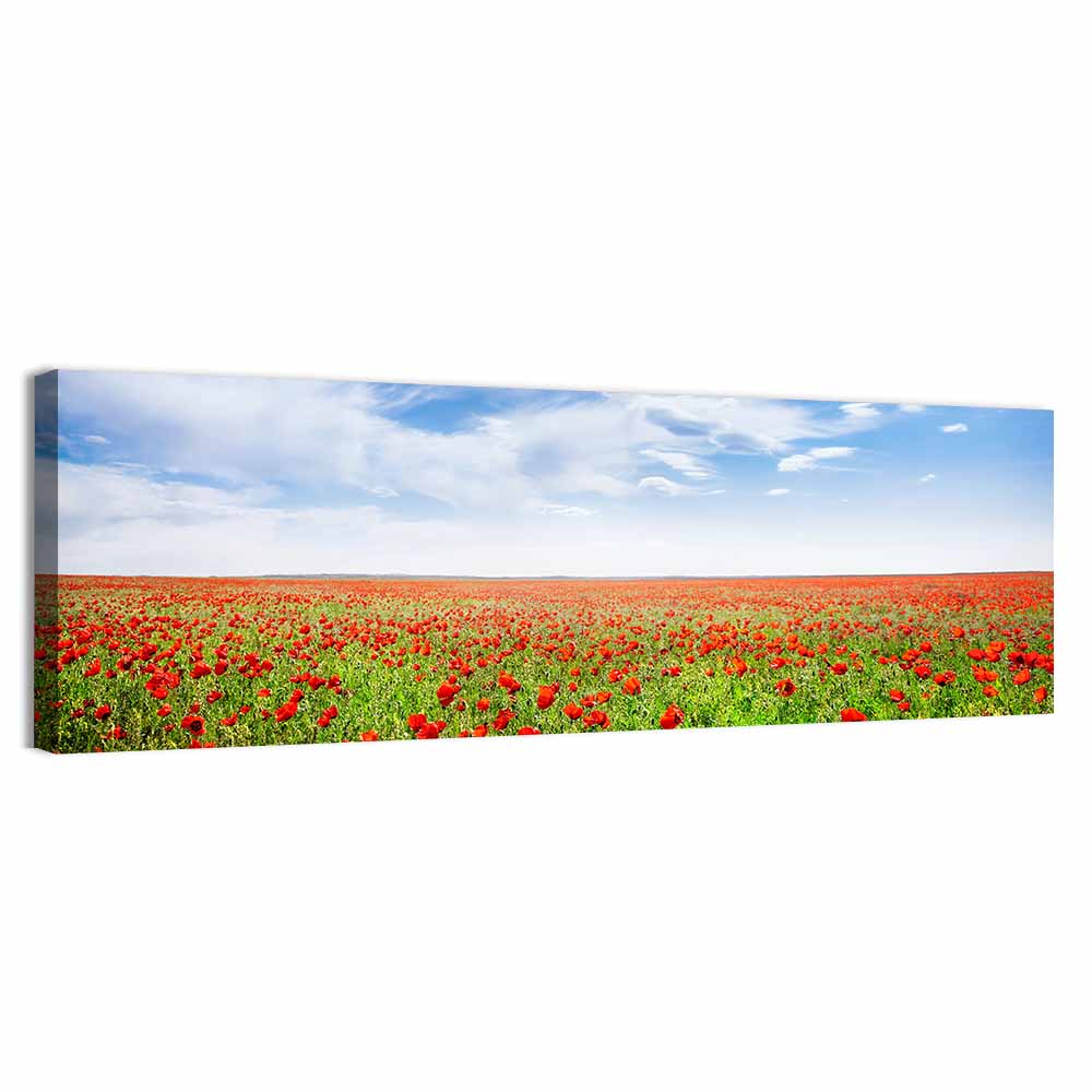 Red Poppy Field Wall Art, canvas print, panoramic