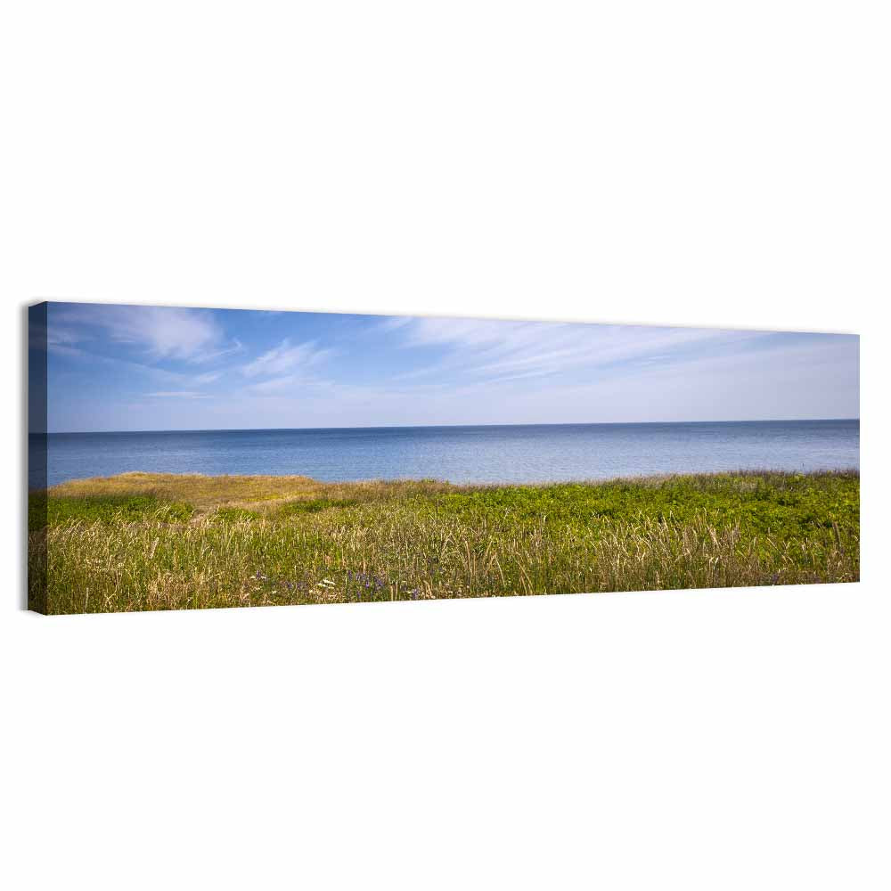 Atlantic Coastal Meadow Wall Art