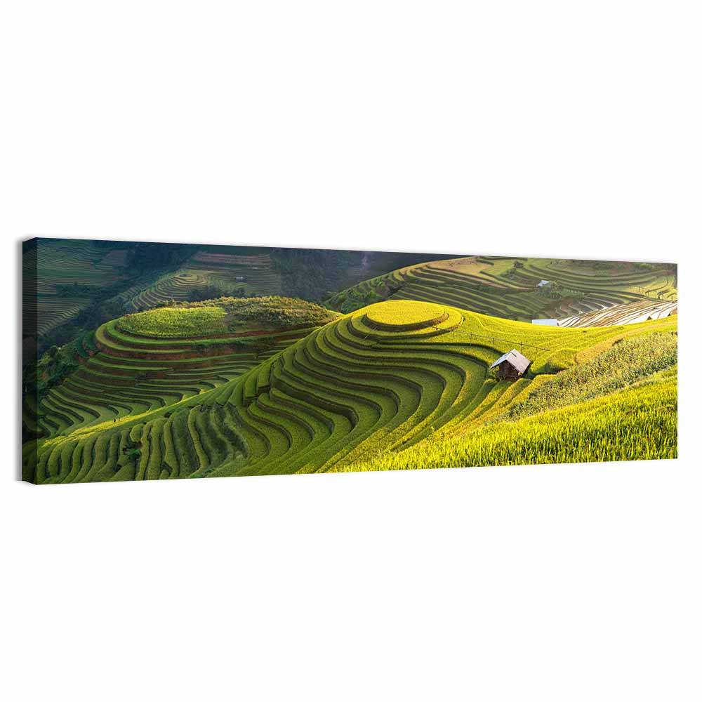 Mu Cang Chai Rice Fields Wall Art