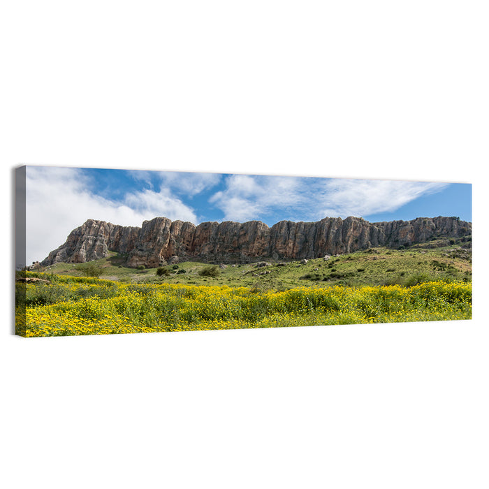 Mount Arbel Wildflower Meadow Wall Art as a canvas print