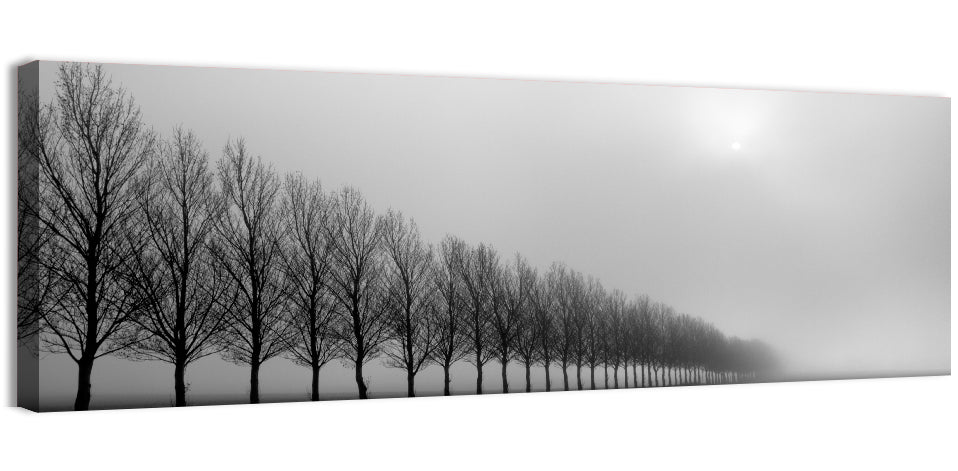 Misty Row of Bare Trees Wall Art