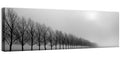 Misty Row of Bare Trees Wall Art