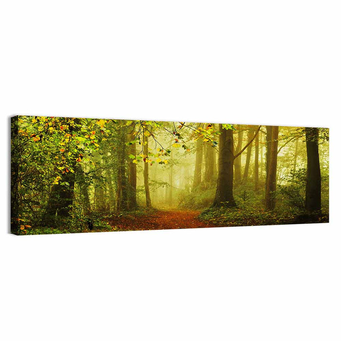 Smoggy Forest Wall Art as a canvas print