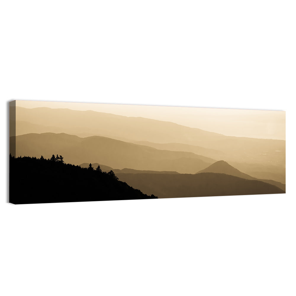 Foggy Mountain Sunset with Evergreen Silhouettes Wall Art