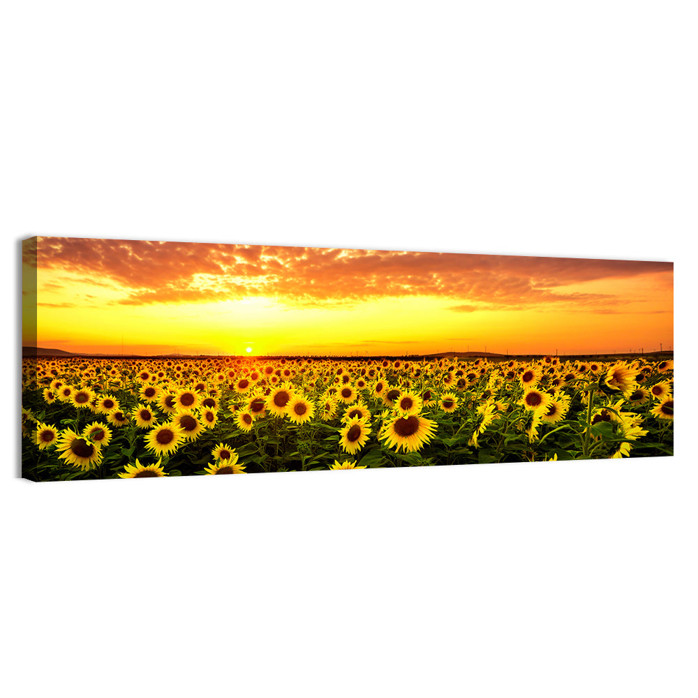 Golden Hour Sunflower Field Wall Art