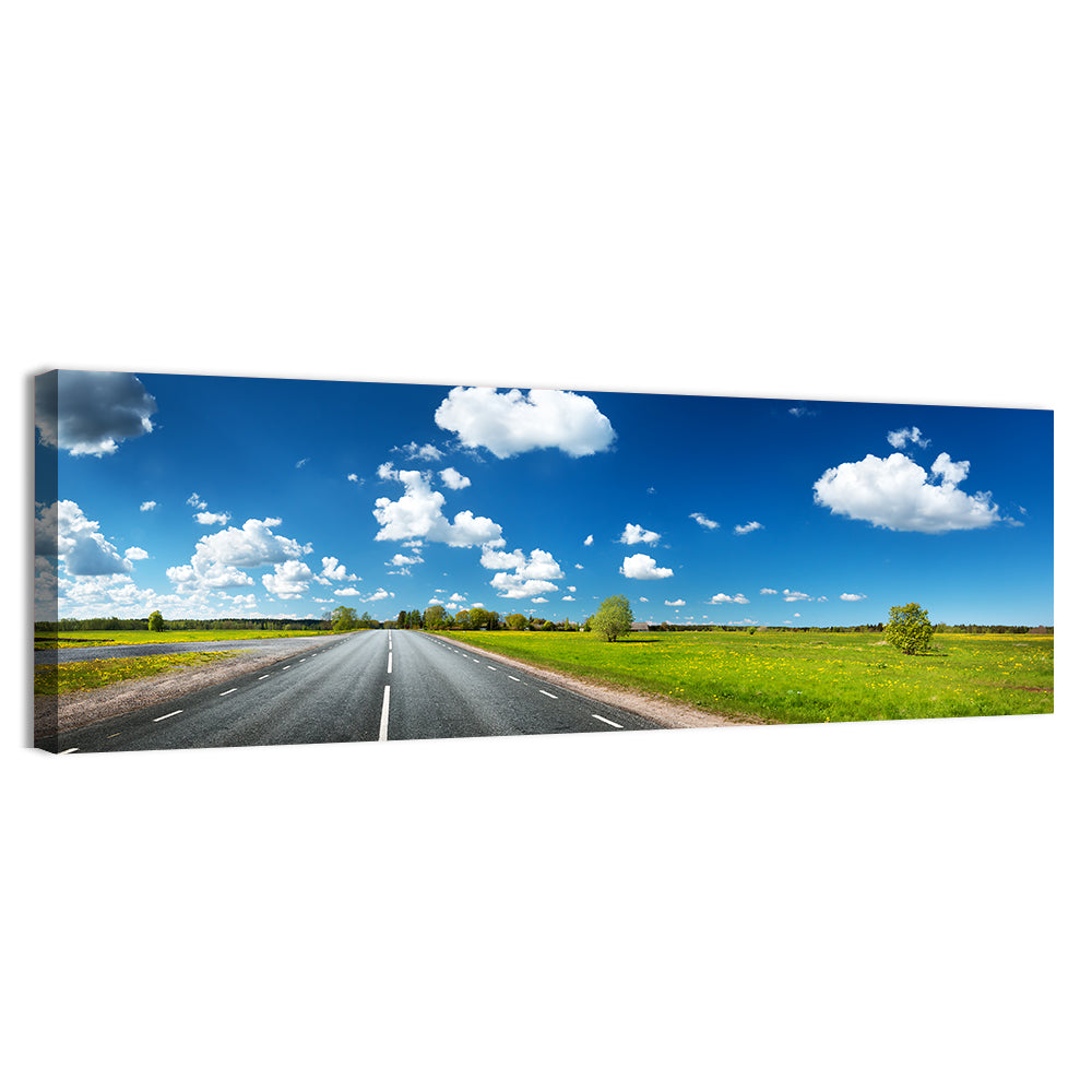 Asphalt Road Through Meadow Wall Art