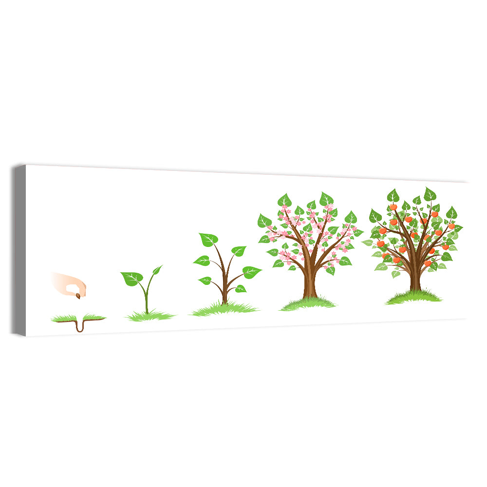 Apple Tree Life Cycle Wall Art, canvas print, panoramic
