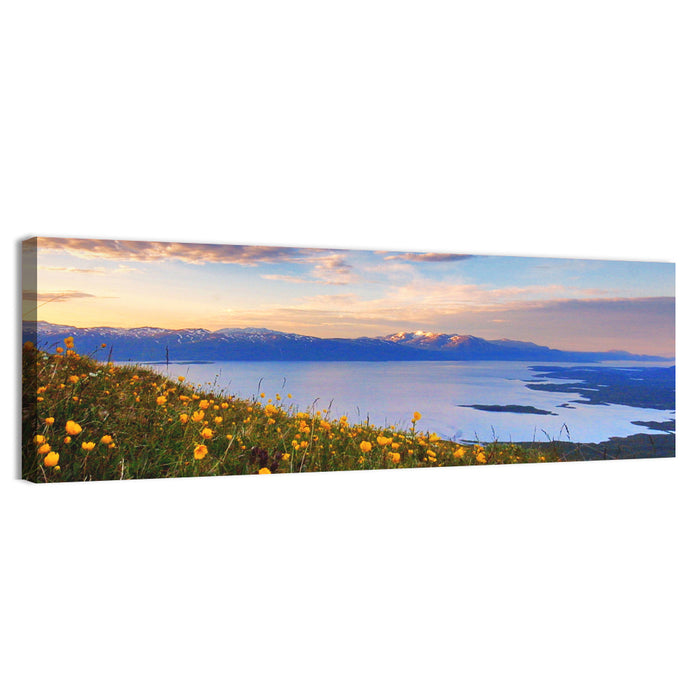 Abisko National Park Sunrise Wall Art as a canvas print