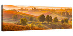 Golden Hour Vineyard Hills Wall Art