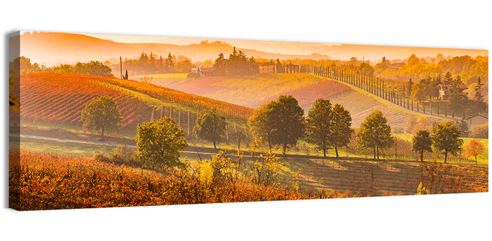 Golden Hour Vineyard Hills Wall Art as a canvas print