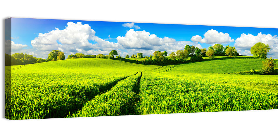 Tractor Tracks Through Green Rolling Hills Wall Art, canvas print, panoramic