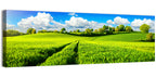 Tractor Tracks Through Green Rolling Hills Wall Art