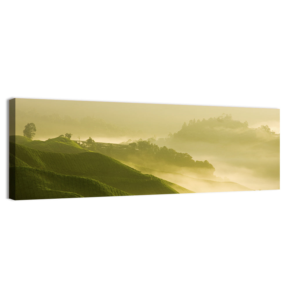 Tea Plantation Morning Mist Wall Art, canvas print, panoramic