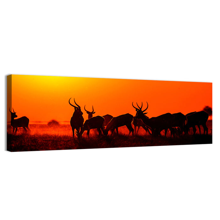 Antelope Herd at Sunset Wall Art as a canvas print