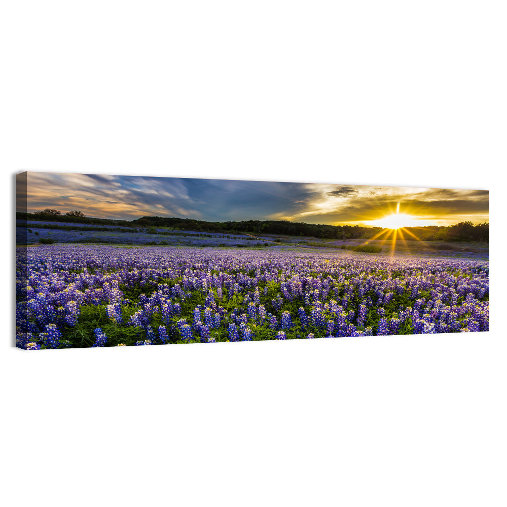 Texas Bluebonnet Field at Sunset Wall Art, canvas print, panoramic