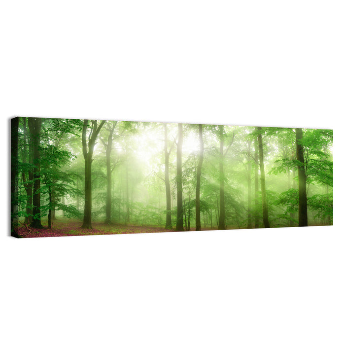 Sunlit Misty Forest Wall Art as a canvas print