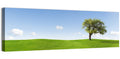 Lone Tree on Green Hill Wall Art