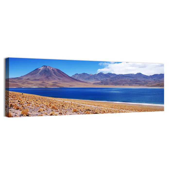 Miscanti Lagoon and Miñiques Volcano Wall Art as a canvas print