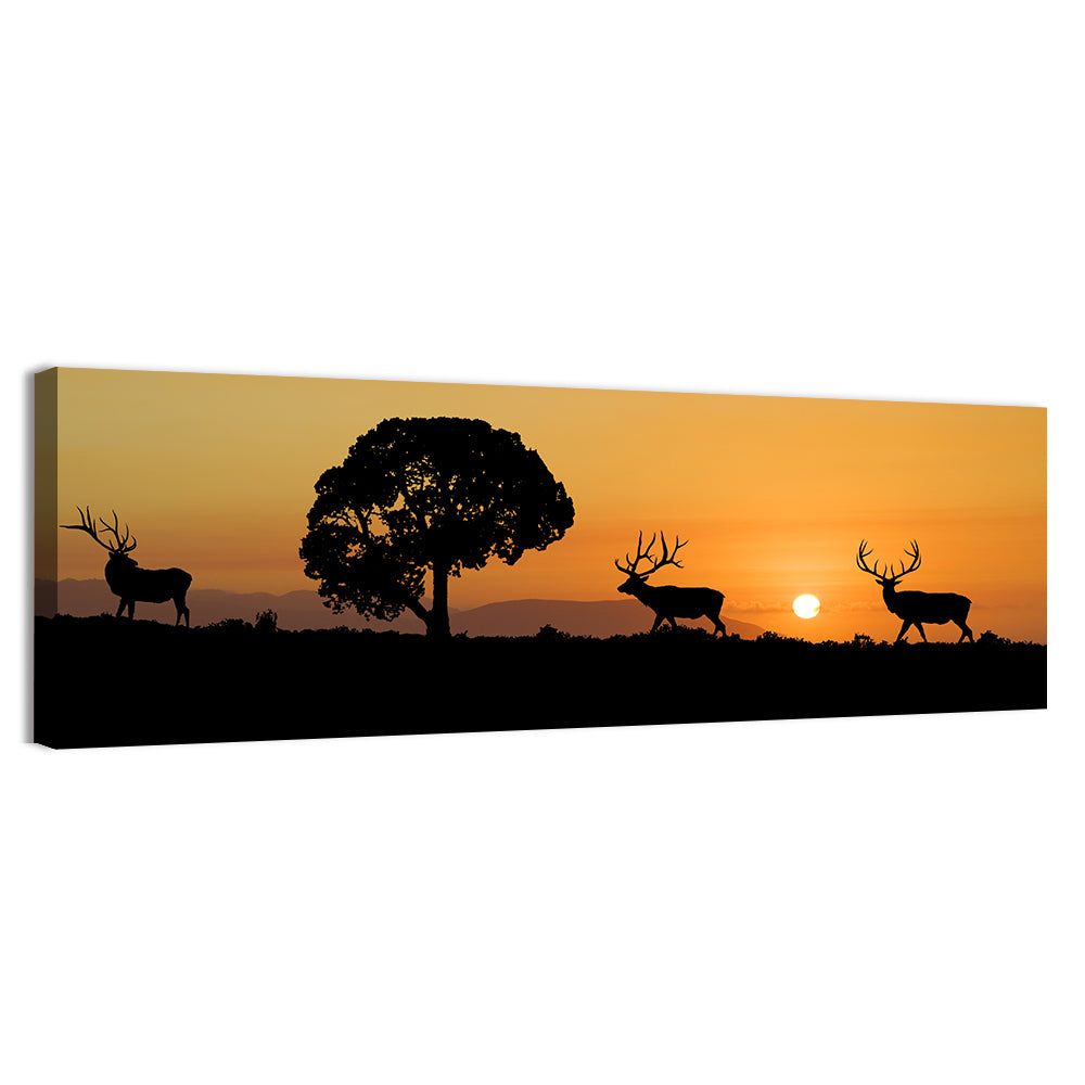 Bull Elk Sunset Silhouette Wall Art