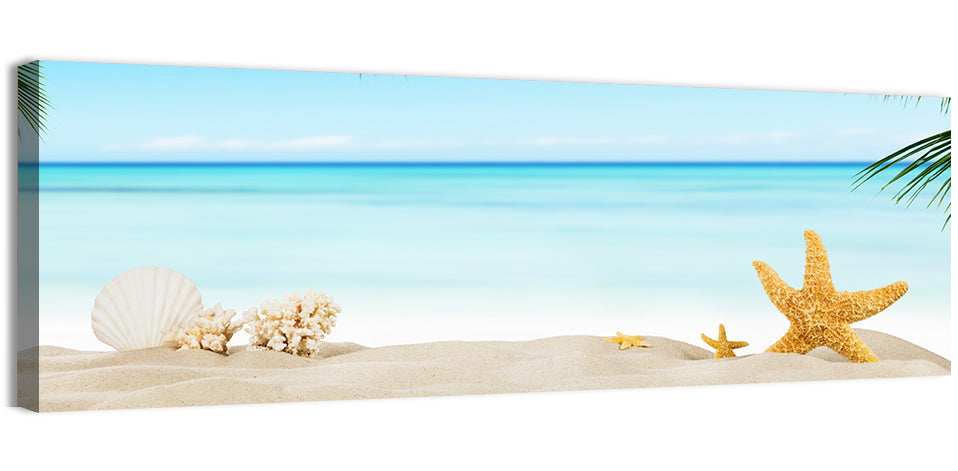 Seashell and Starfish Beach Still Life Wall Art