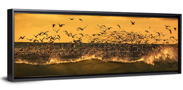 Seagull Flock at Golden Hour Wall Art as a framed canvas