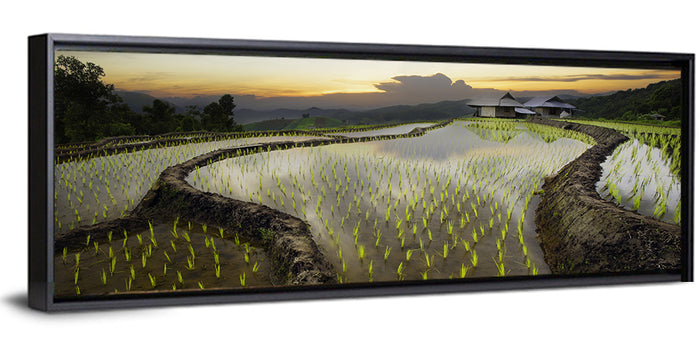 Pa Pong Peang Rice Terrace Wall Art as a framed canvas