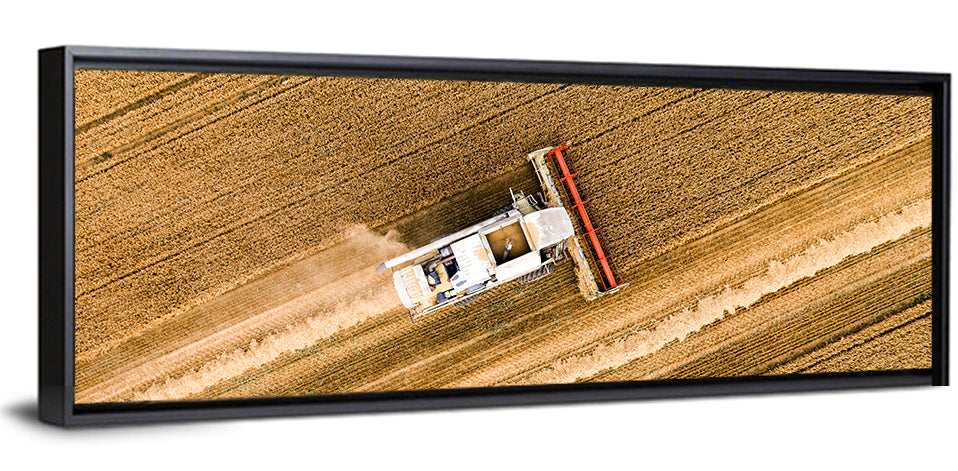 Aerial Combine Over Wheat Field Wall Art