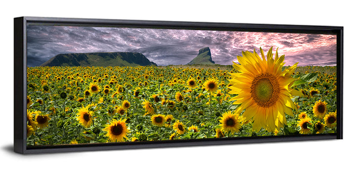 Sunflower Field with Mountains Wall Art as a framed canvas