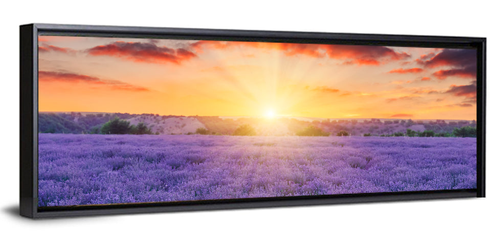 Lavender Field Sunburst Wall Art