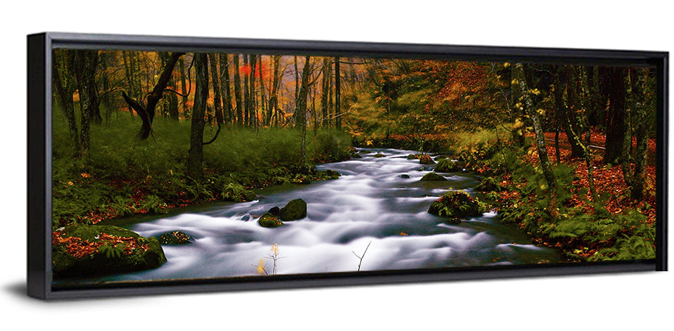Autumn Forest Stream Wall Art