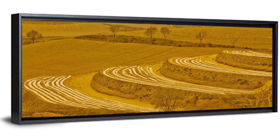 Loess Plateau Terraced Farmland Wall Art