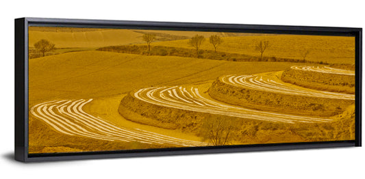 Loess Plateau Farmland Wall Art