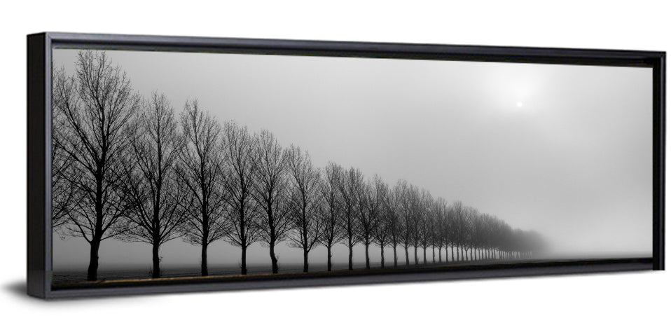 Misty Row of Bare Trees Wall Art