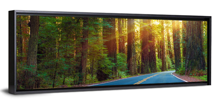 Sunlit Redwood Highway Wall Art as a framed canvas