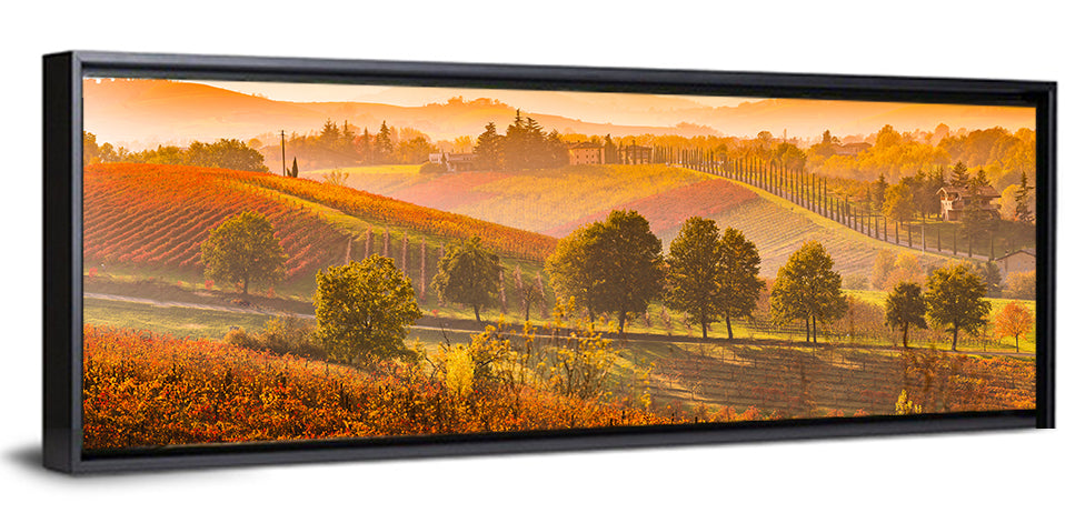 Golden Hour Vineyard Hills Wall Art