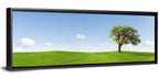 Lone Tree on Green Hill Wall Art