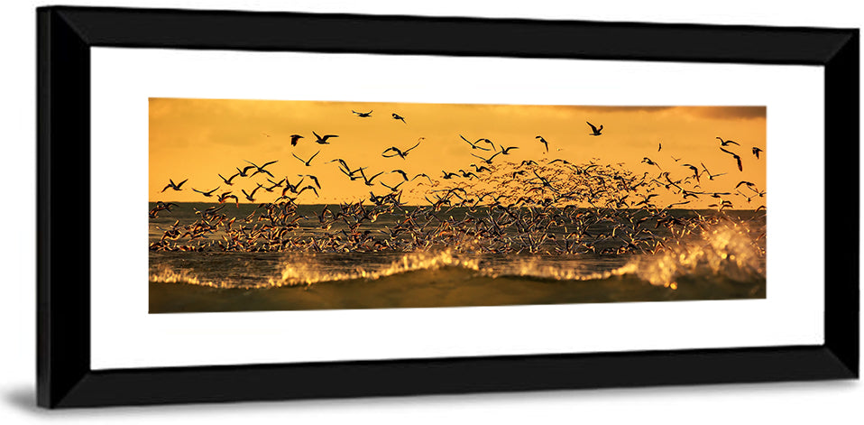 Seagull Flock at Golden Hour Wall Art