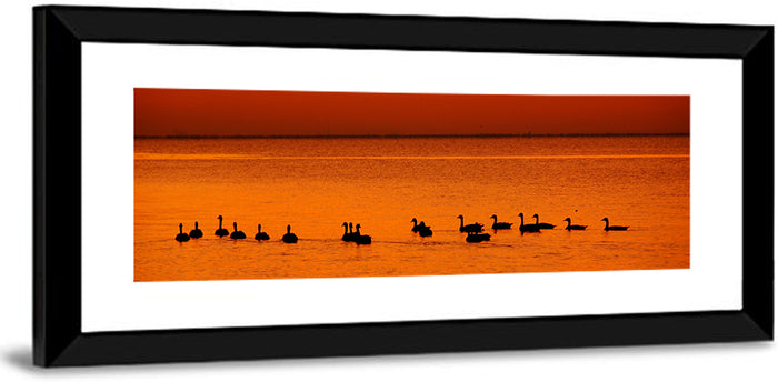 Geese Silhouettes at Orange Sunset Wall Art as a framed print