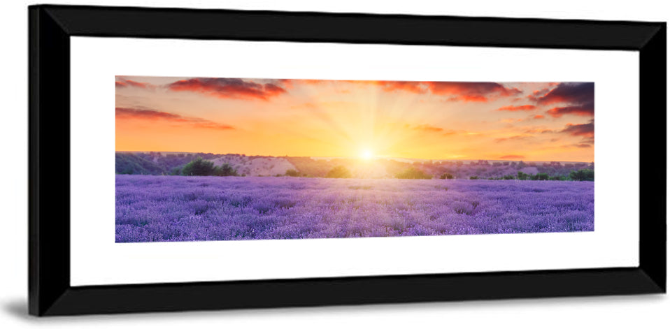 Lavender Field Sunburst Wall Art