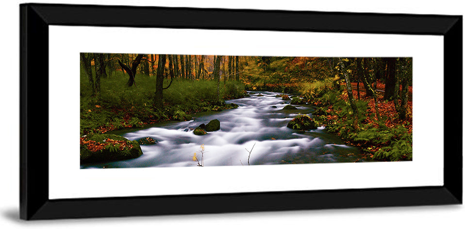 Autumn Forest Stream Wall Art